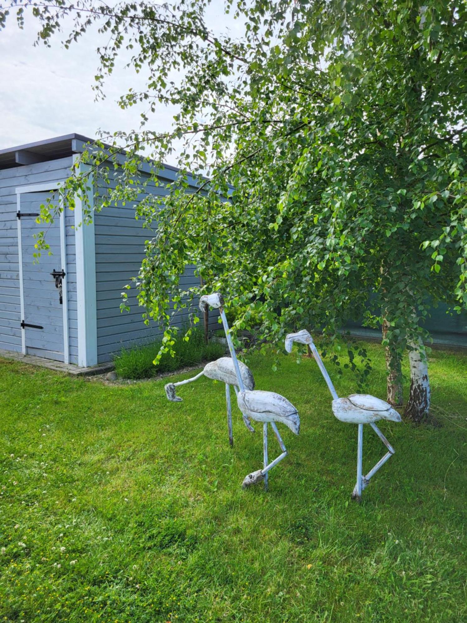 Domki Letniskowe Gris Grzybowo  Exterior photo